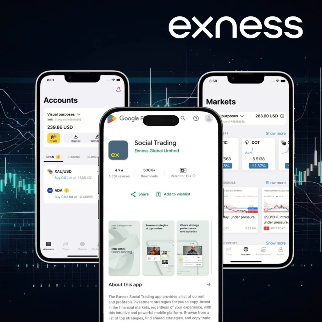 Exness Trading Social